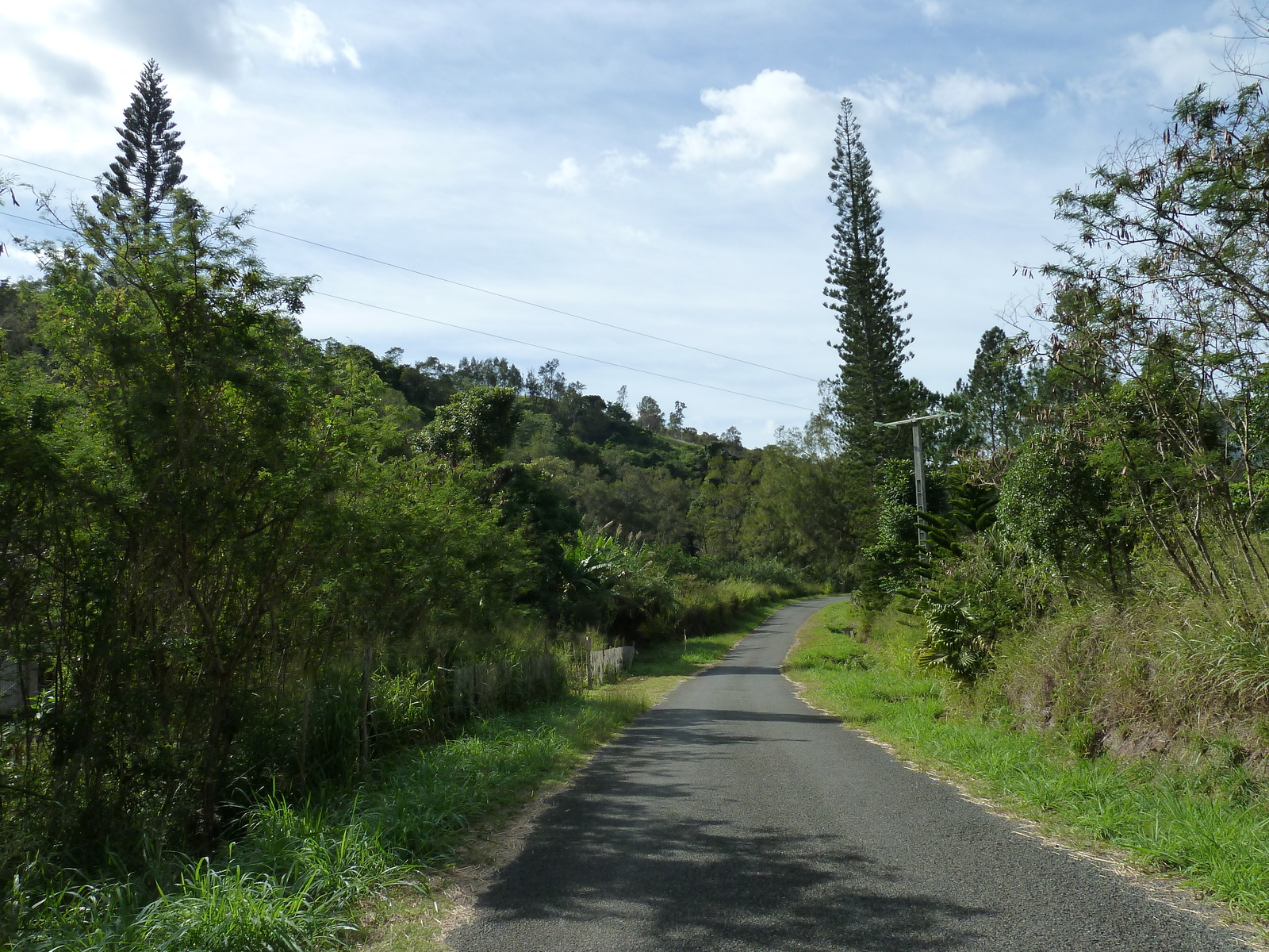 照片 新喀里多尼亚(New Caledonia) 通图塔至蒂奥公路(Tontouta to Thio road) 2010-05 0