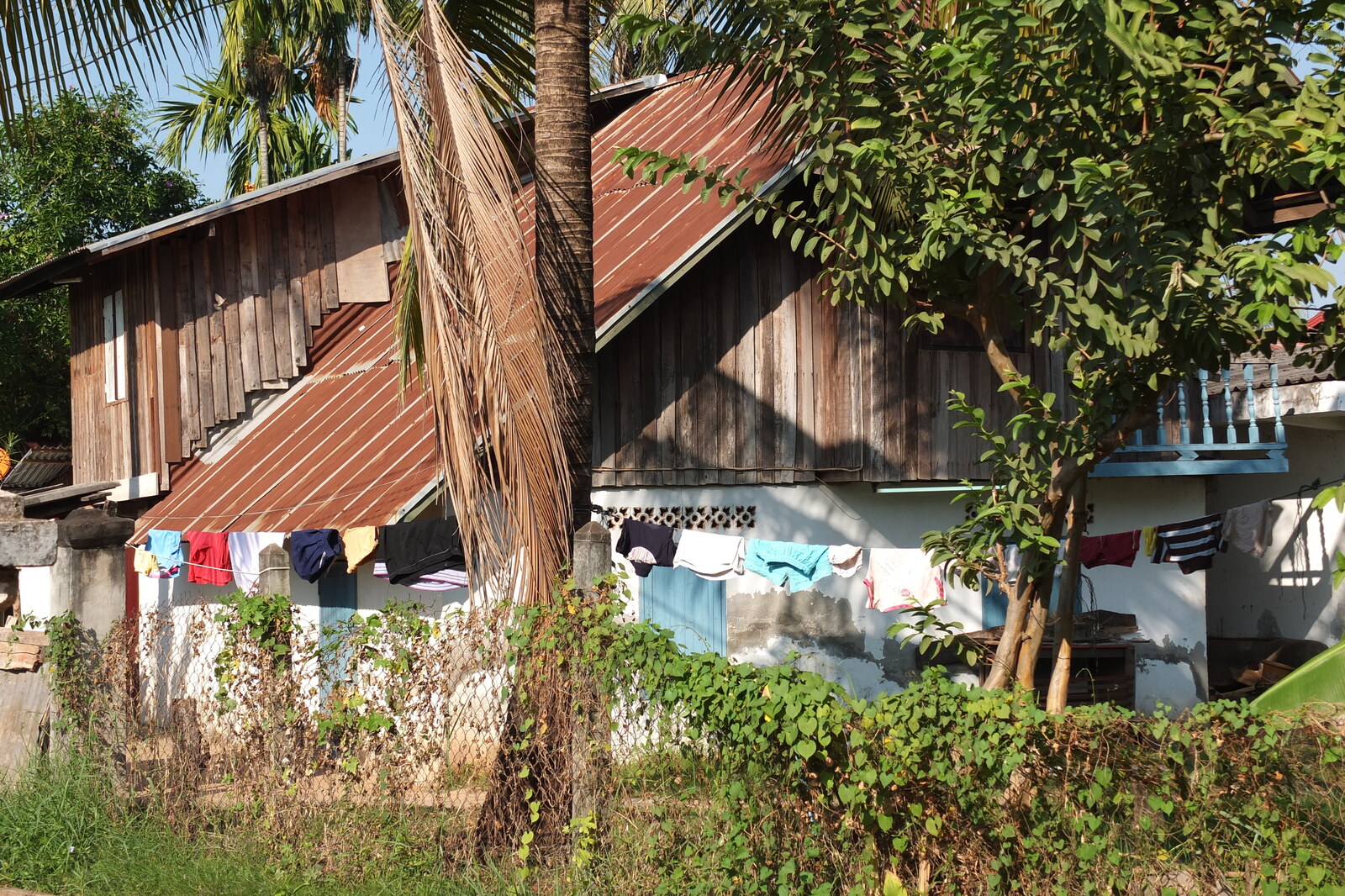 照片 老挝(Laos) 万象(Vientiane) 2012-12 150