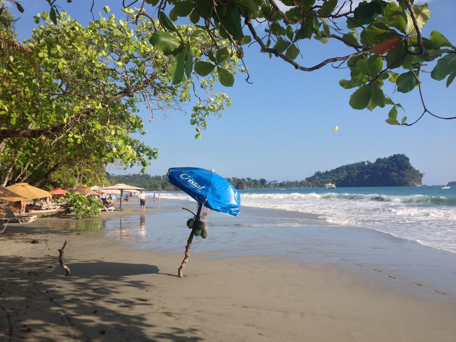 照片 哥斯达黎加(Costa Rica) 曼努埃尔安东尼奥(Manuel Antonio) 2015-03 59