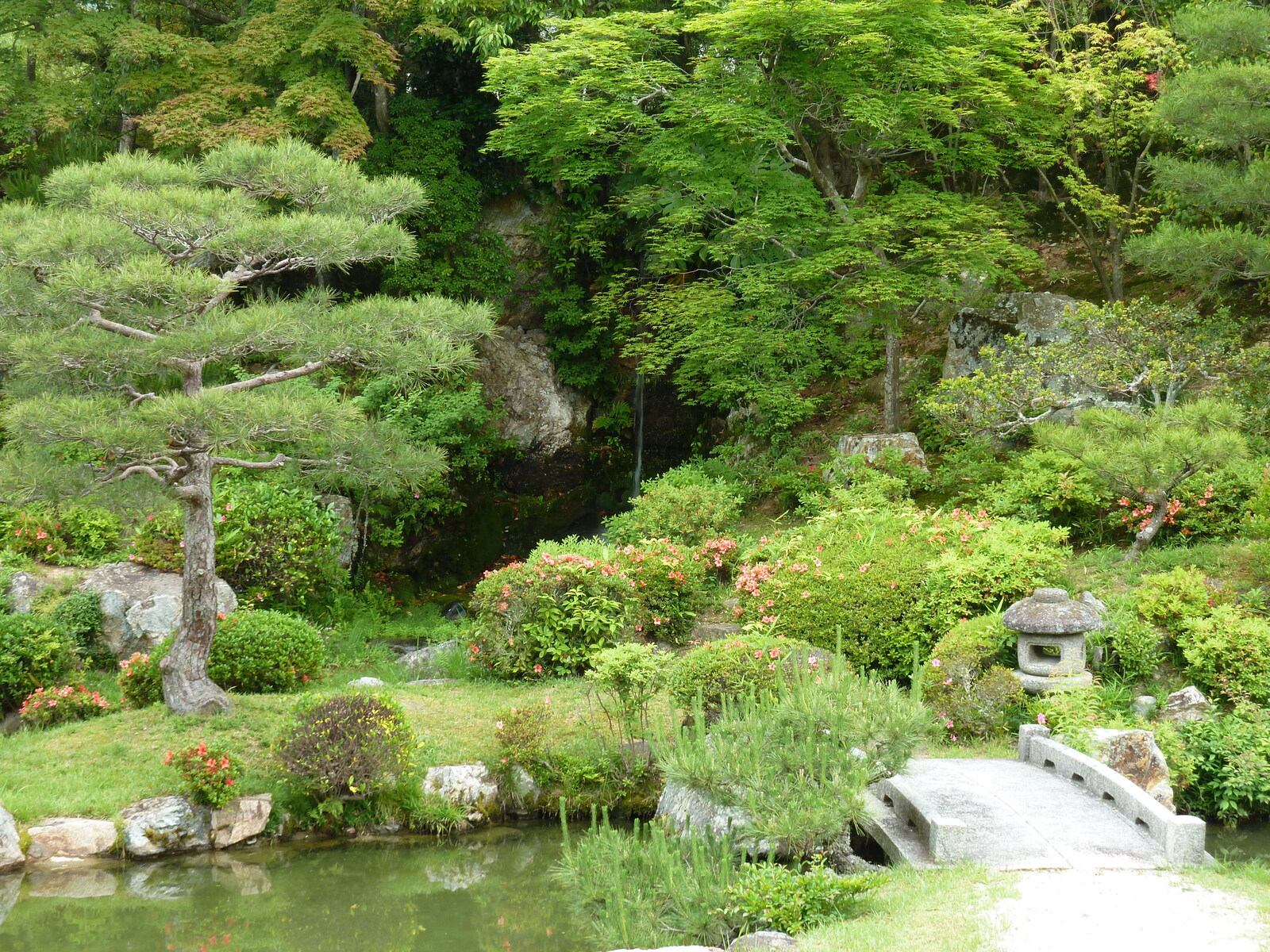 照片 日本(Japan) 京都(Kyoto) 仁和寺御殿(Ninna ji imperial Residence) 2010-06 35