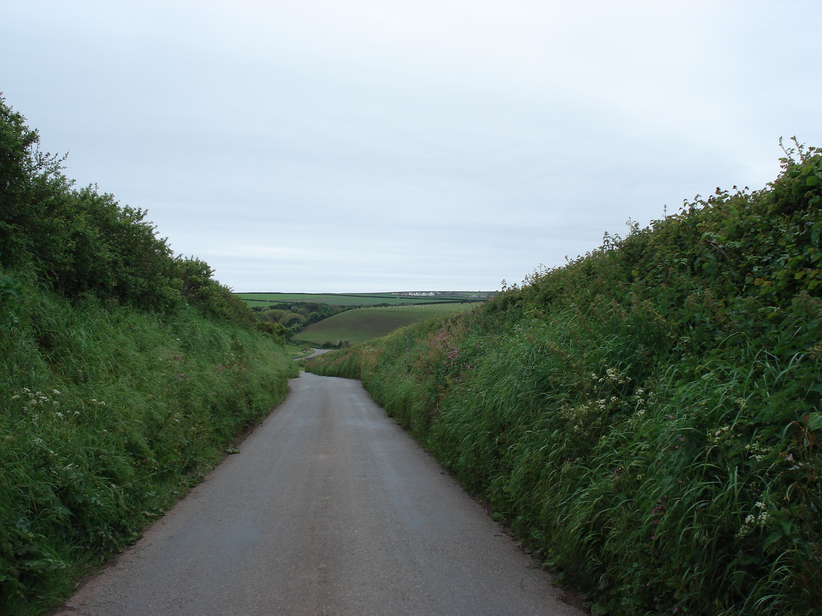 照片 英国(United Kingdom) 彭布罗克郡(Pembrokeshire) 2006-05 53