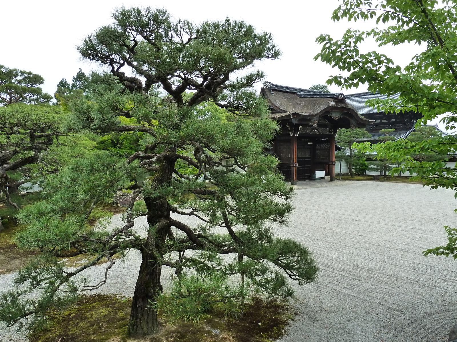 照片 日本(Japan) 京都(Kyoto) 仁和寺御殿(Ninna ji imperial Residence) 2010-06 57