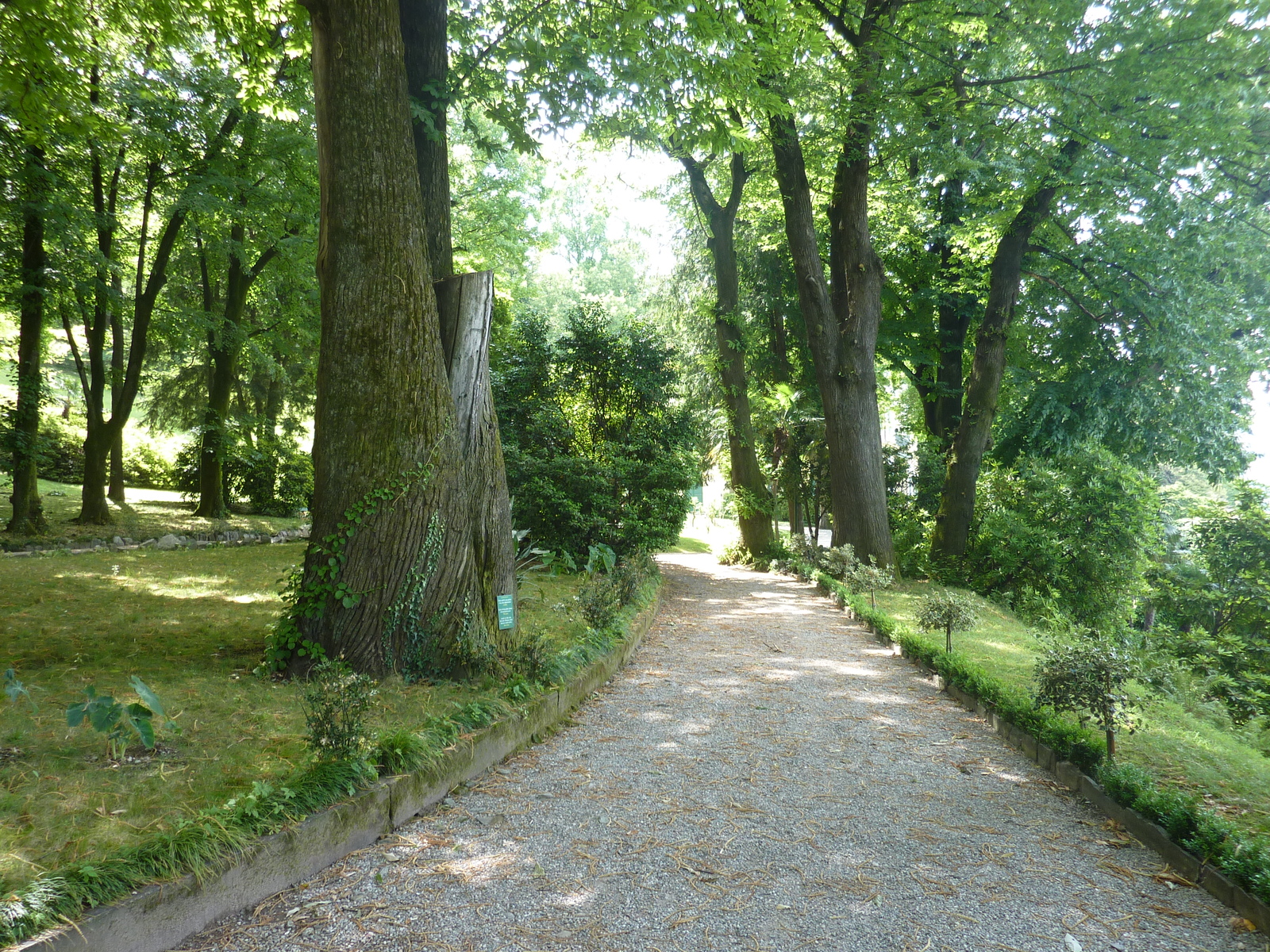 照片 意大利(Italy) 帕拉维奇诺别墅(Villa Pallavicino) 2009-06 9