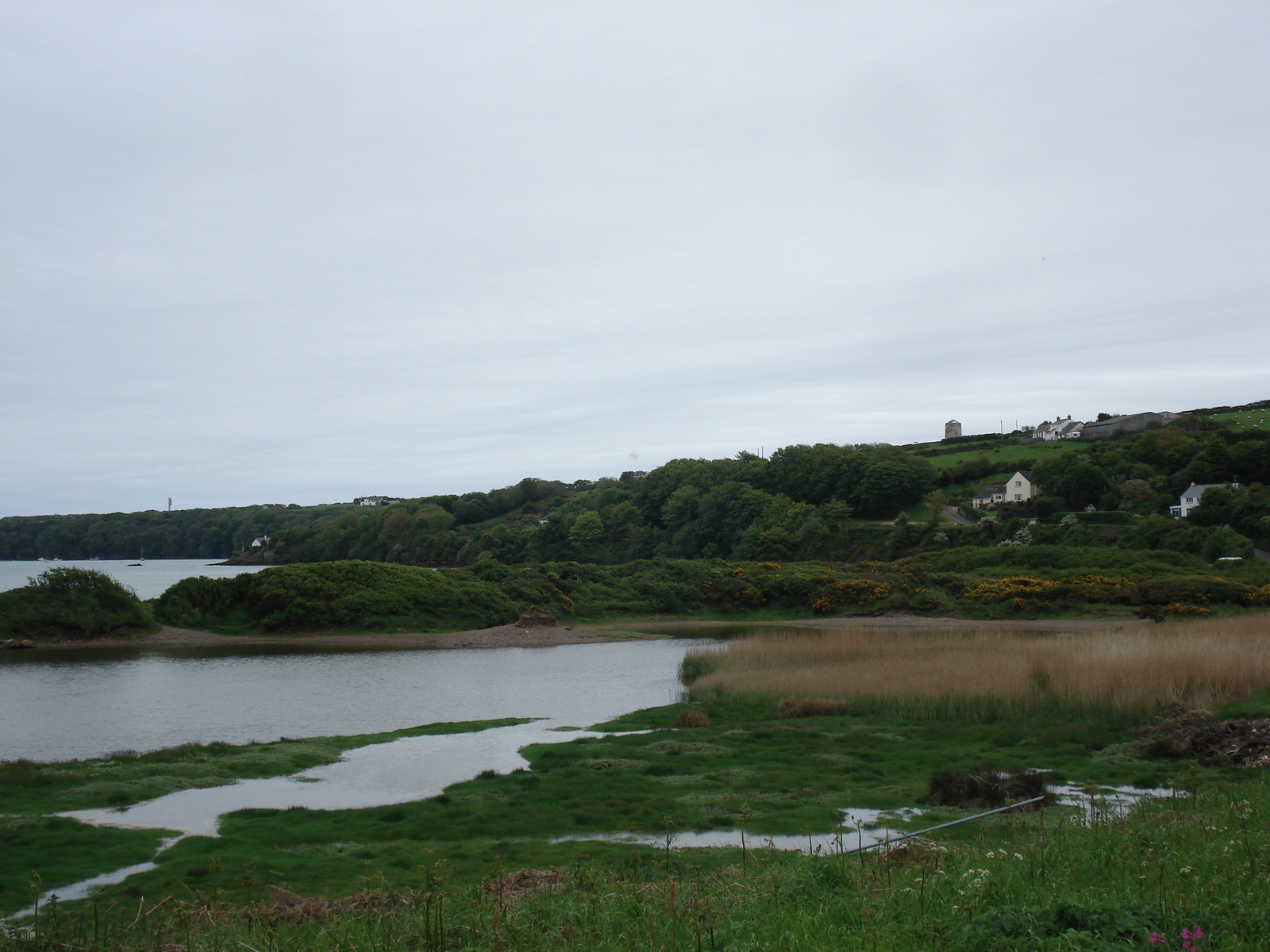 照片 英国(United Kingdom) 彭布罗克郡(Pembrokeshire) 戴尔(Dale) 2006-05 0
