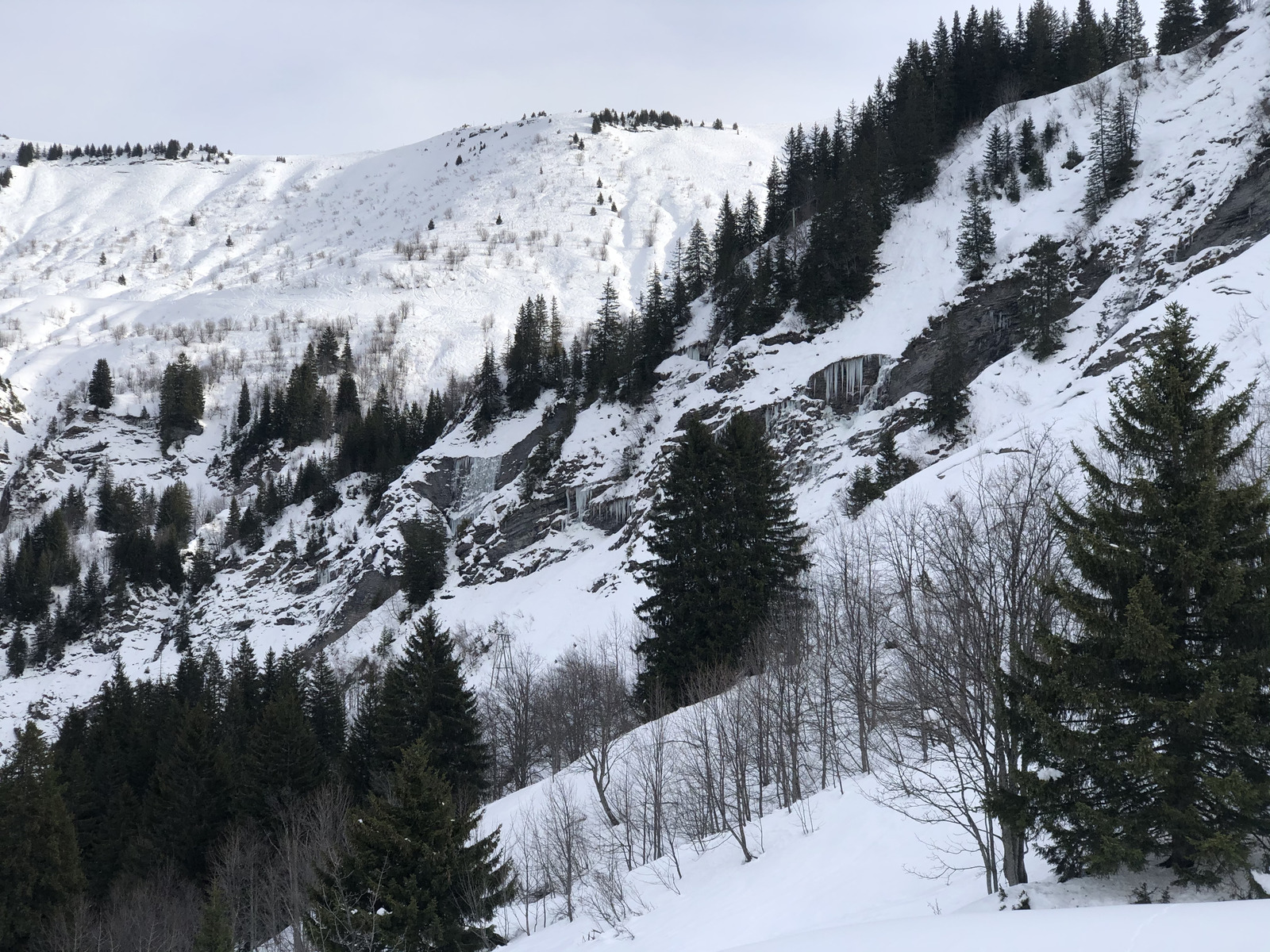 照片 法国(France) 阿尔利河畔普拉(Praz sur Arly) 2019-12 455