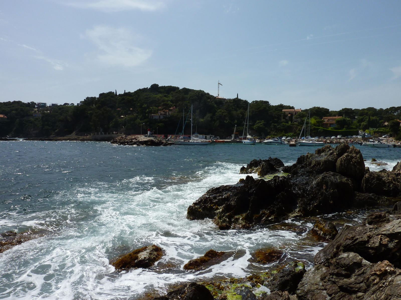 照片 法国(France) 吉安半岛(Giens Peninsula) 2009-05 9