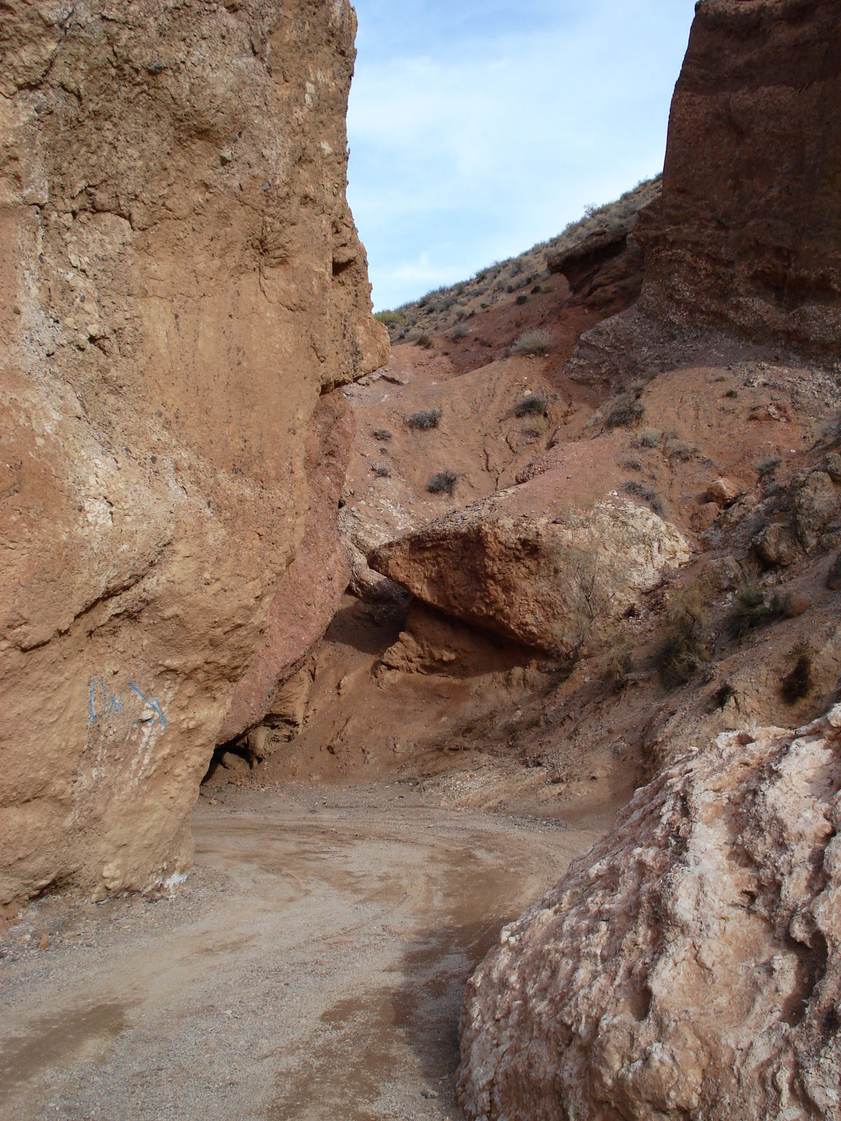 照片 哈萨克斯坦(Kazakhstan) 恰伦峡谷(Charyn Canyon) 2007-03 51