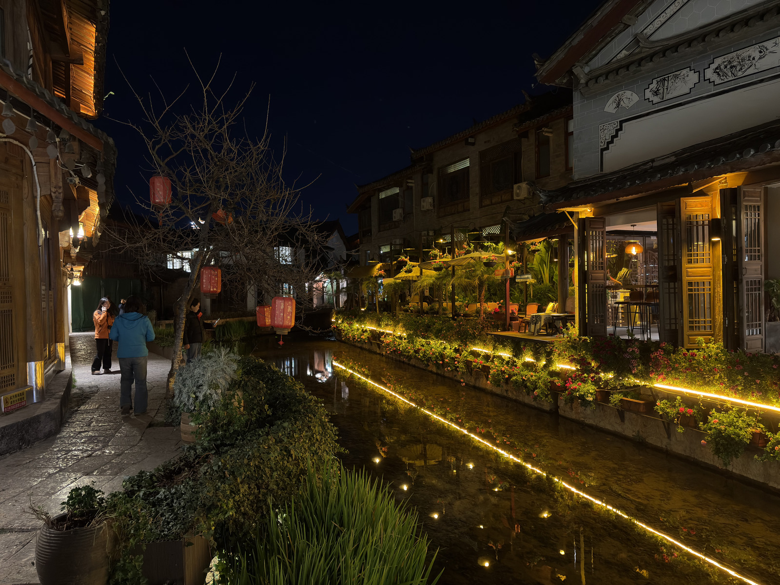照片 中国(China) 丽江(Lijiang) 2026-01 156