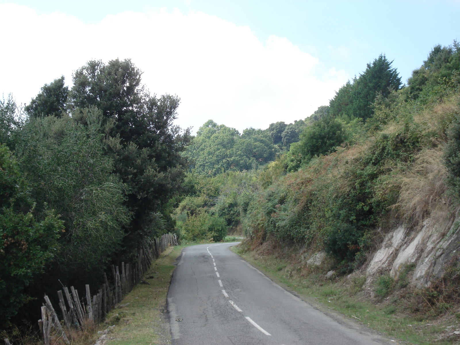 照片 法国(France) 科西嘉岛(Corsica) 阿莱萨尼山谷(Valle d'alesani) 2006-09 101