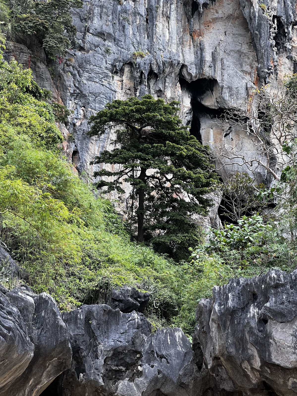 照片 泰国(Thailand) 甲米(Krabi) 2023-01 292