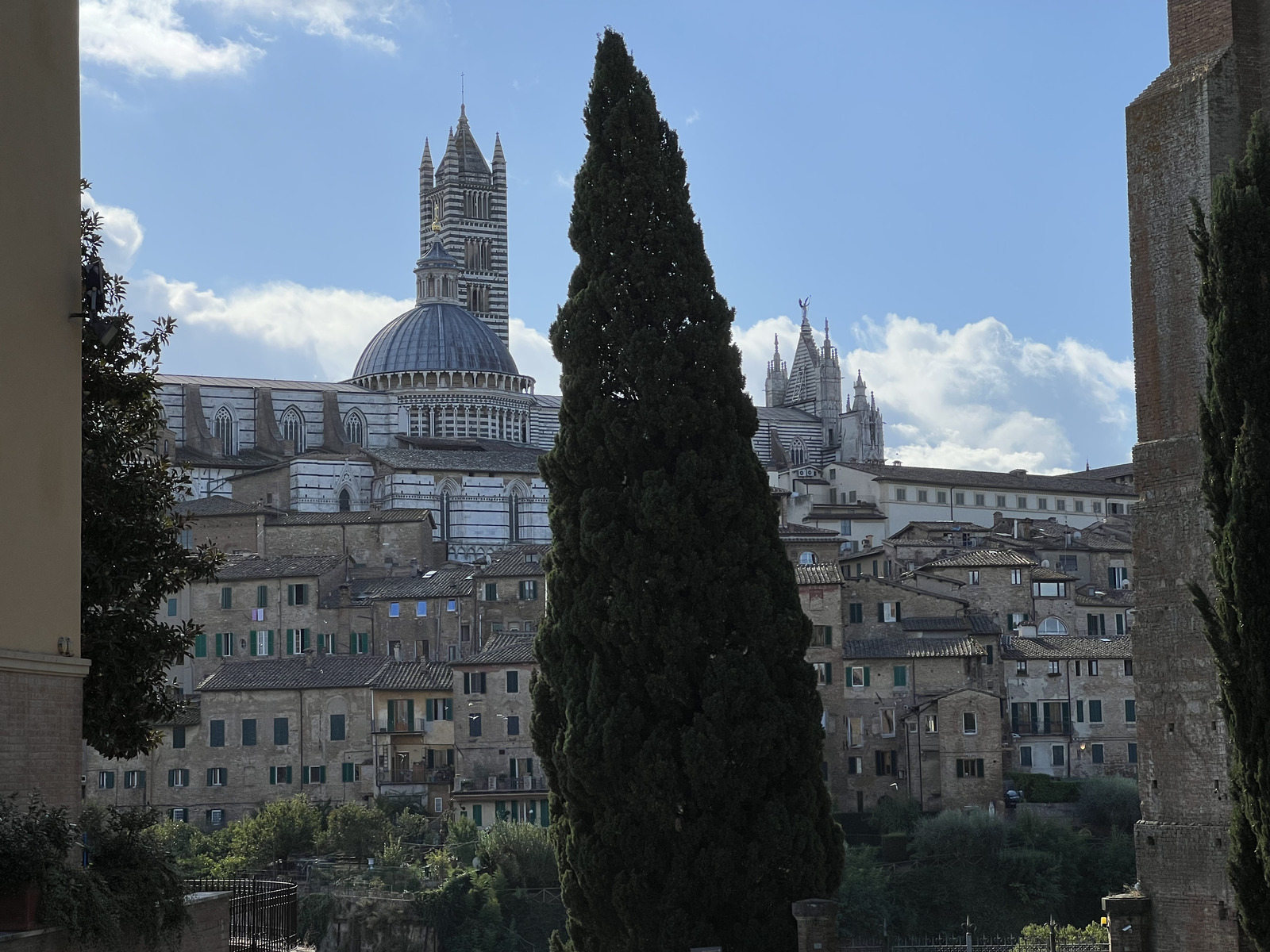 照片 意大利(Italy) 锡耶纳(Siena) 2021-09 163