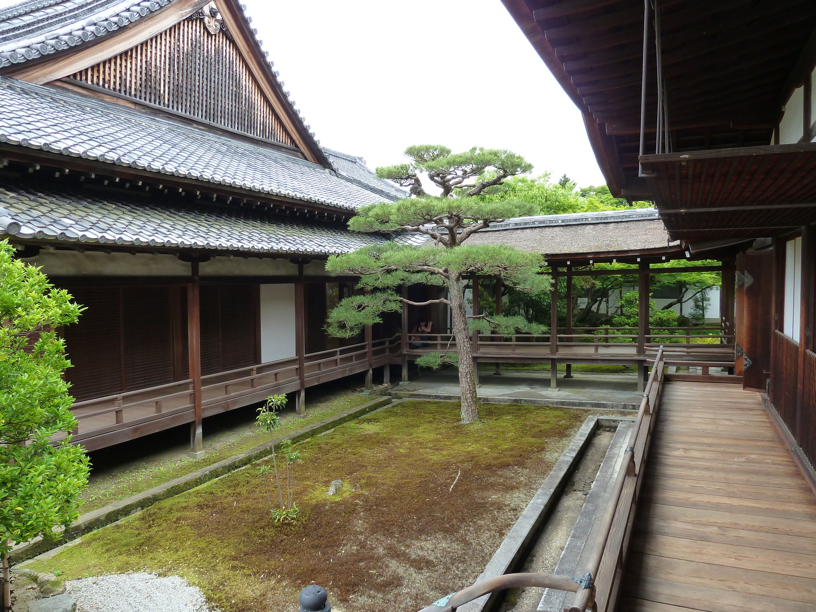 照片 日本(Japan) 京都(Kyoto) 仁和寺御殿(Ninna ji imperial Residence) 2010-06 46