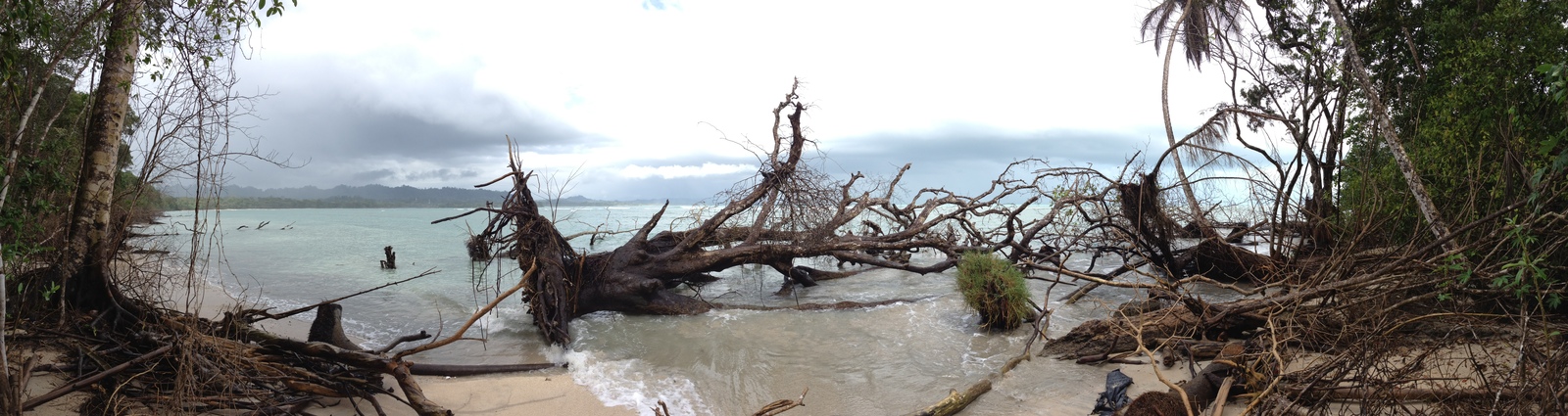 照片 哥斯达黎加(Costa Rica) 卡维塔(Cahuita) 2015-03 227