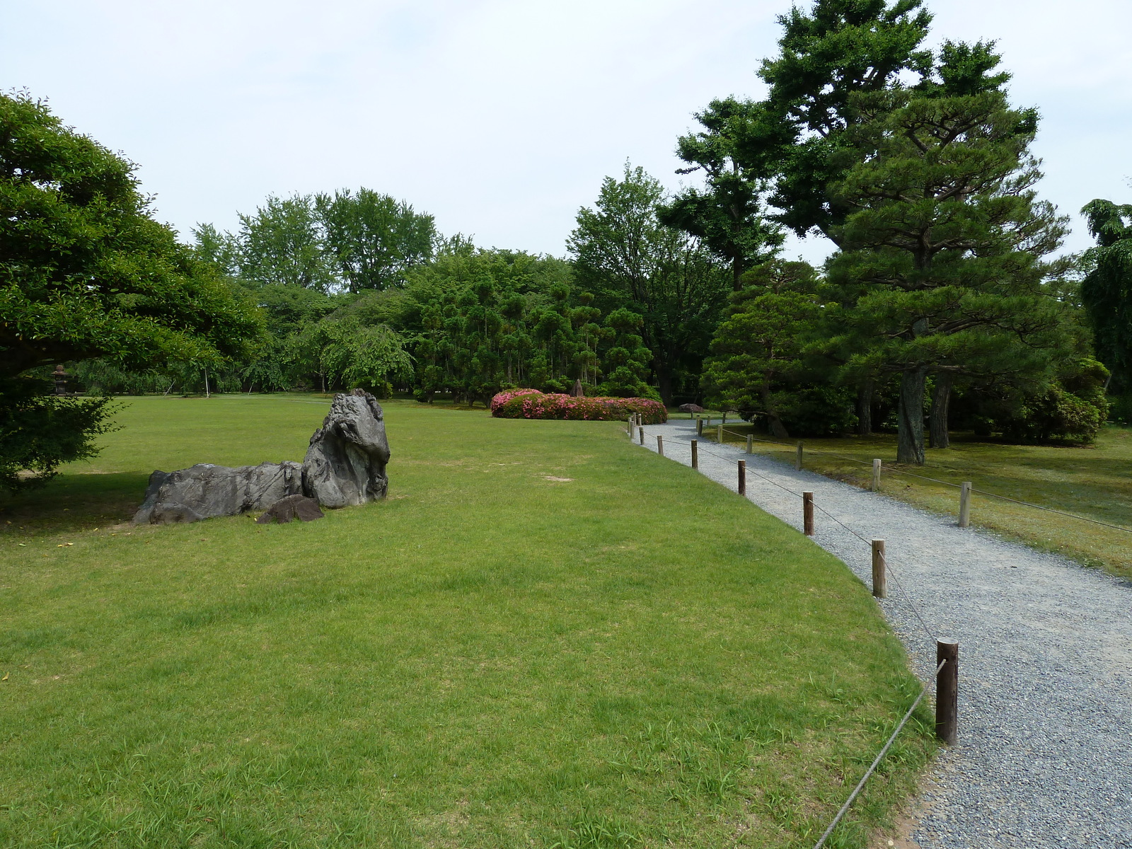 照片 日本(Japan) 京都(Kyoto) 二条城(Nijo Castle) 2010-06 111