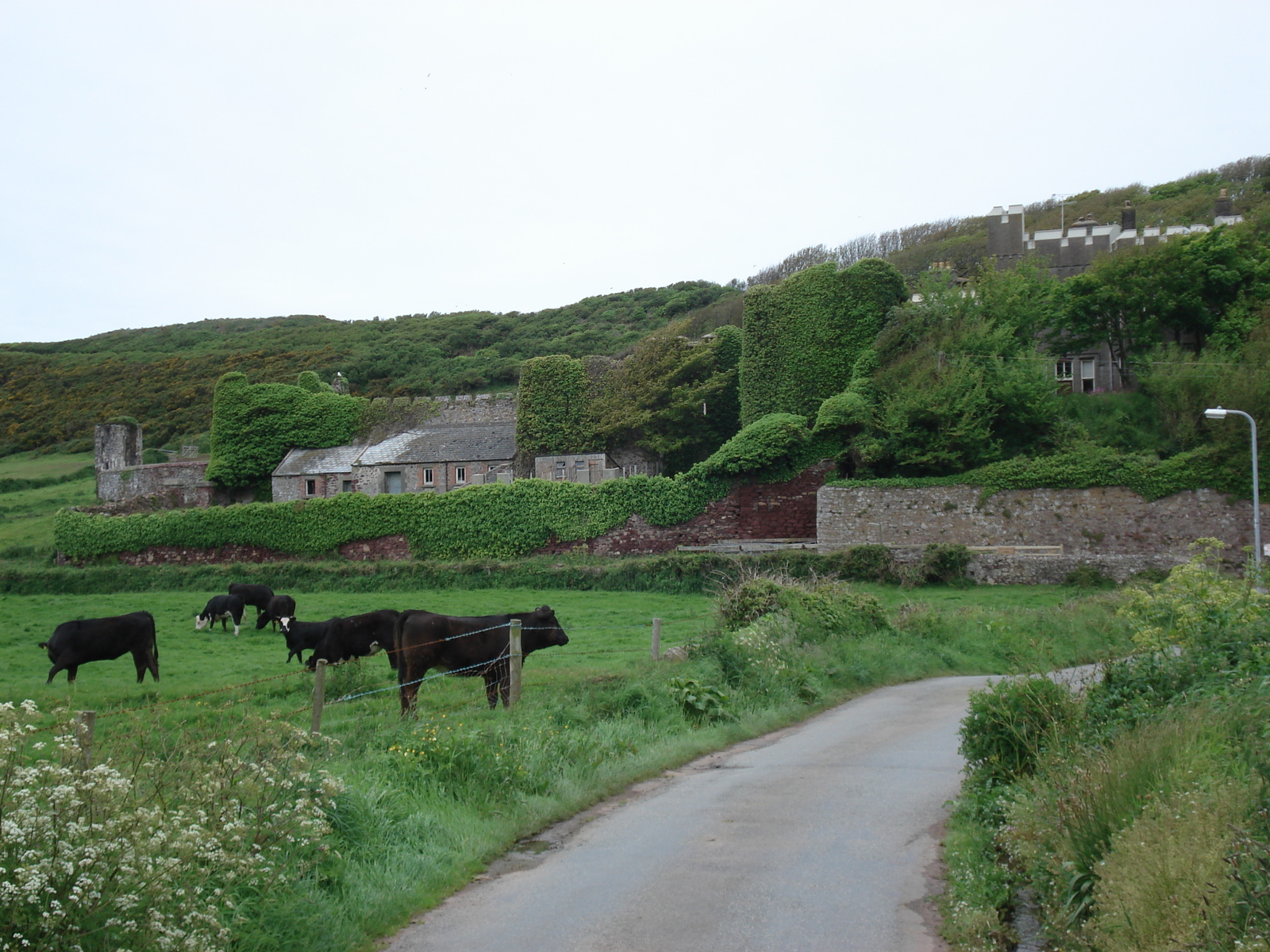 照片 英国(United Kingdom) 彭布罗克郡(Pembrokeshire) 戴尔(Dale) 2006-05 3