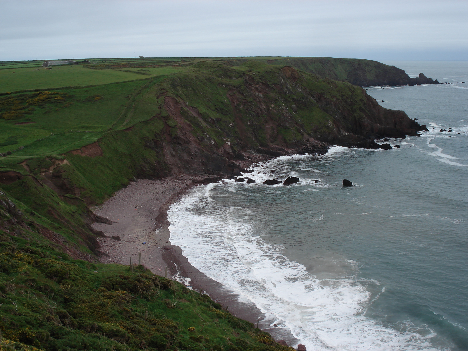 照片 英国(United Kingdom) 彭布罗克郡(Pembrokeshire) 圣安角(St. Ann's Head) 2006-05 3
