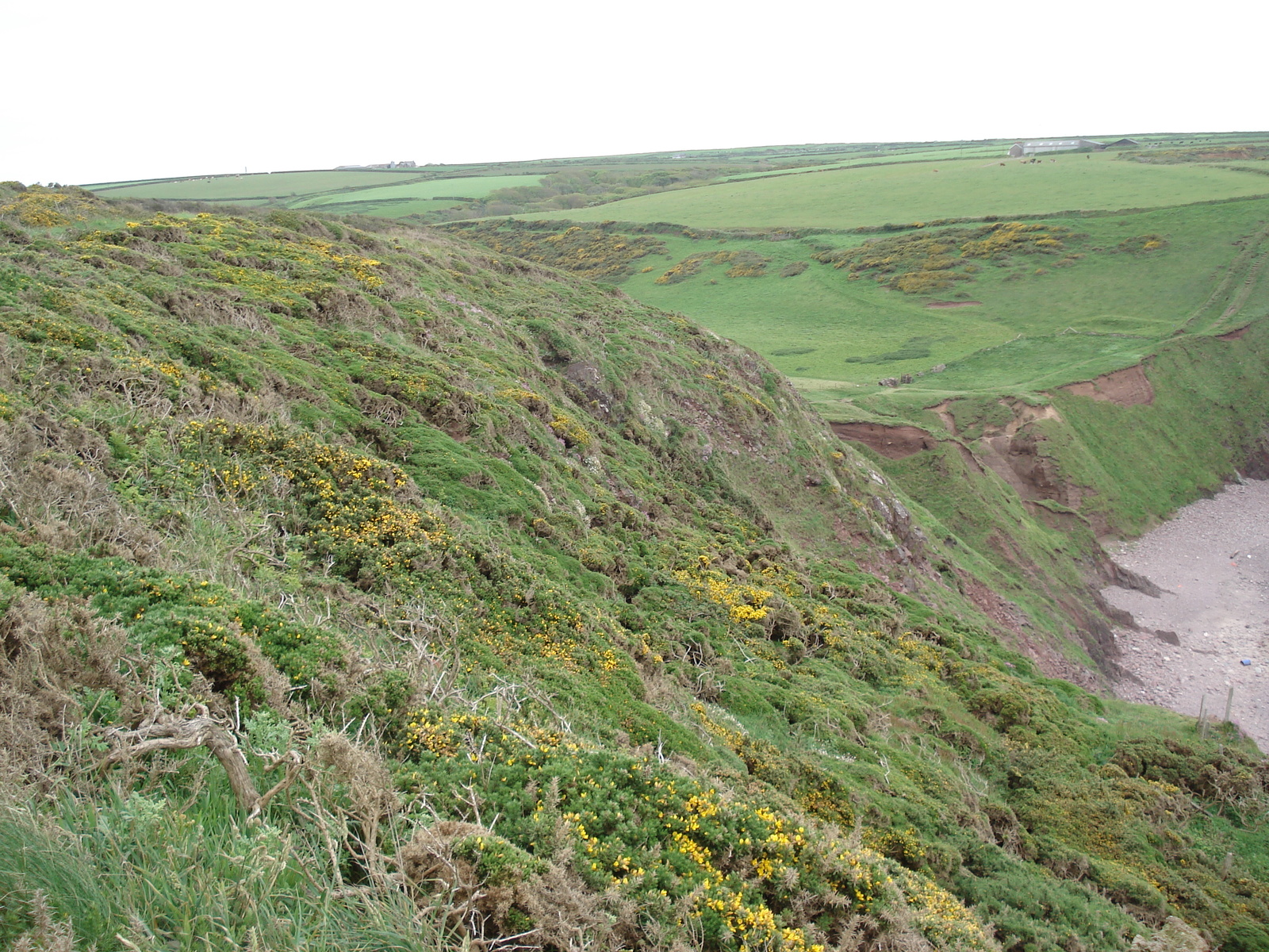 照片 英国(United Kingdom) 彭布罗克郡(Pembrokeshire) 圣安角(St. Ann's Head) 2006-05 2