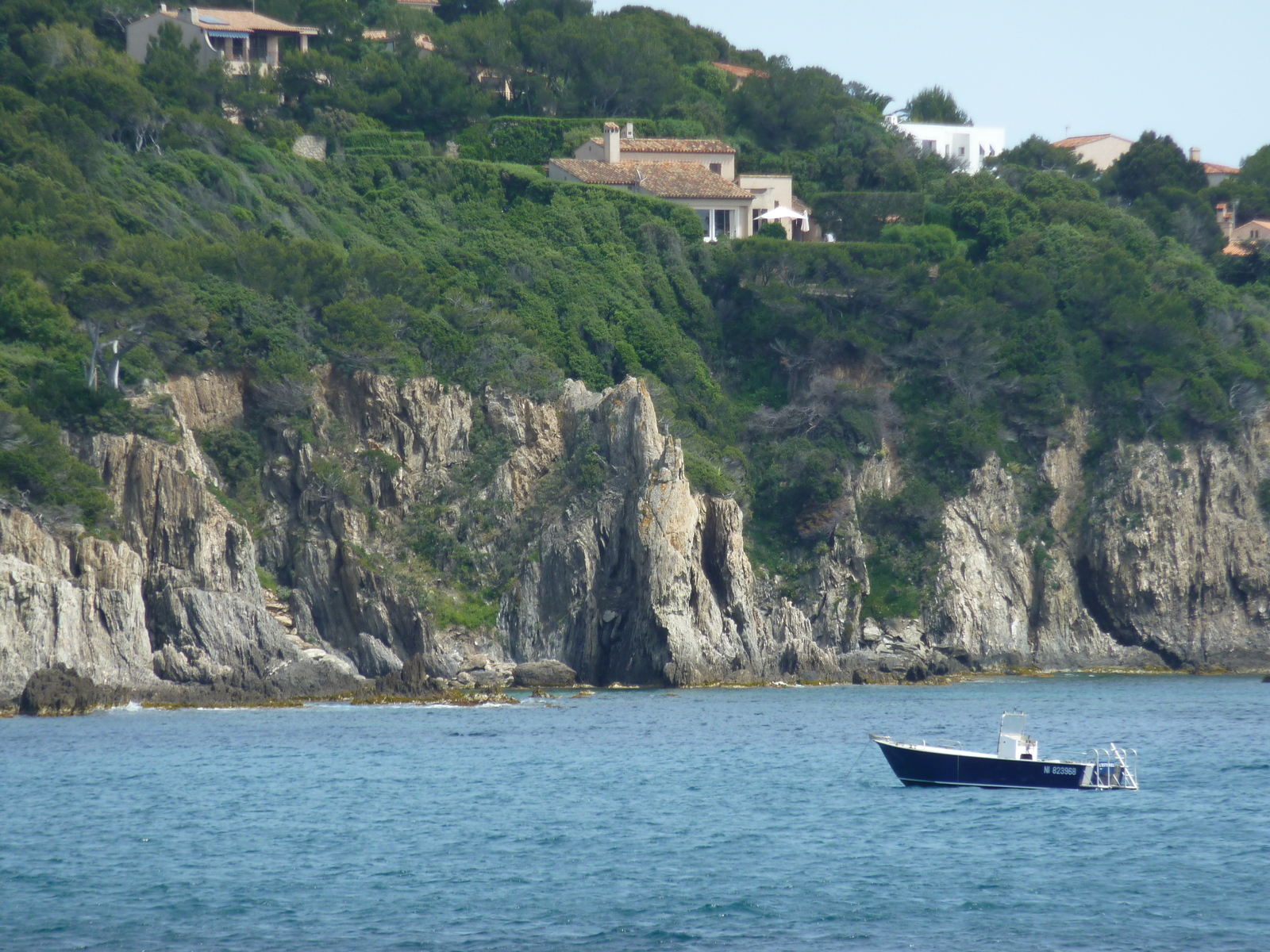 照片 法国(France) 吉安半岛(Giens Peninsula) 2009-05 1