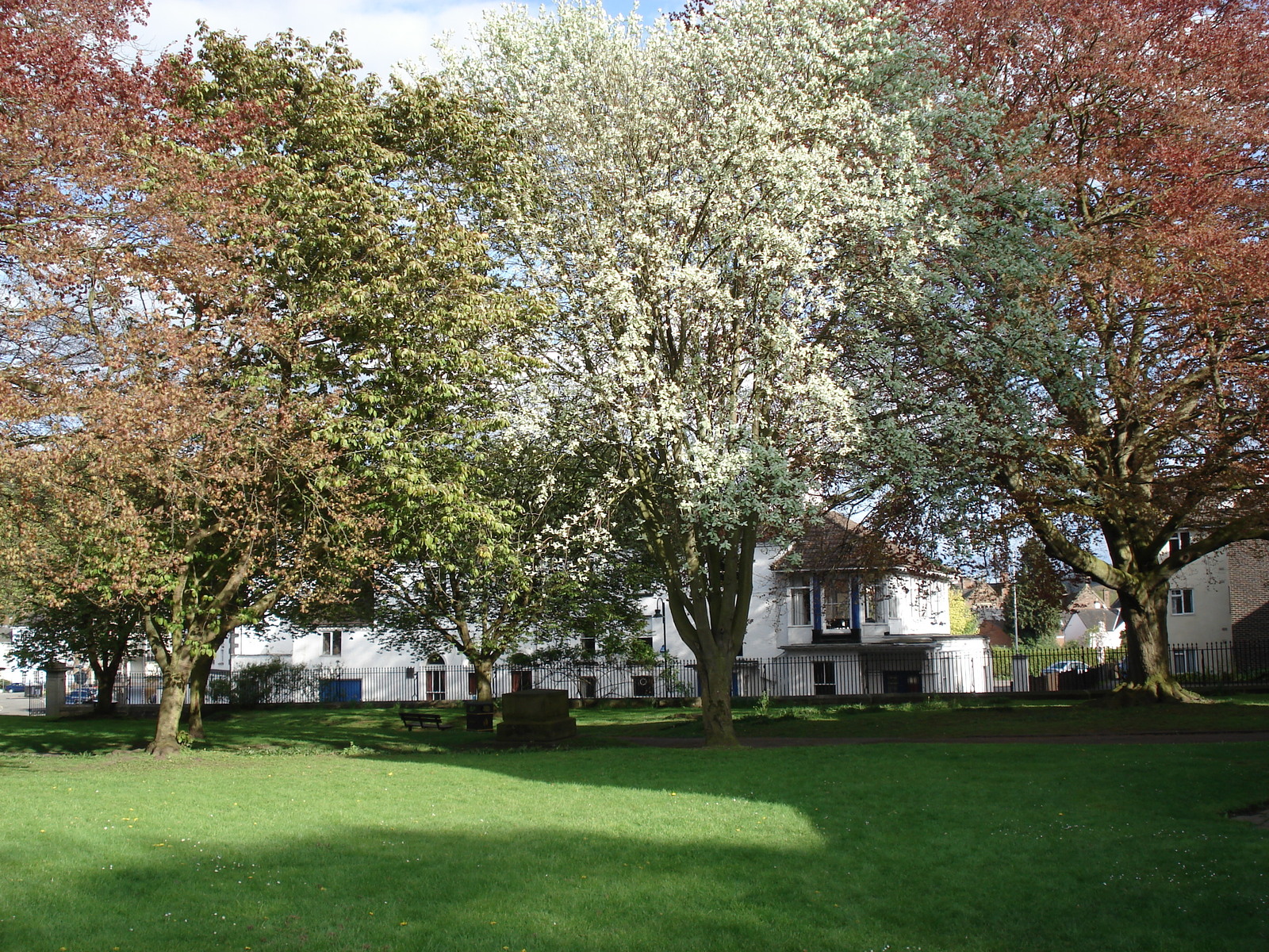 照片 英国(United Kingdom) 蒙茅斯(Monmouth) 2006-05 33