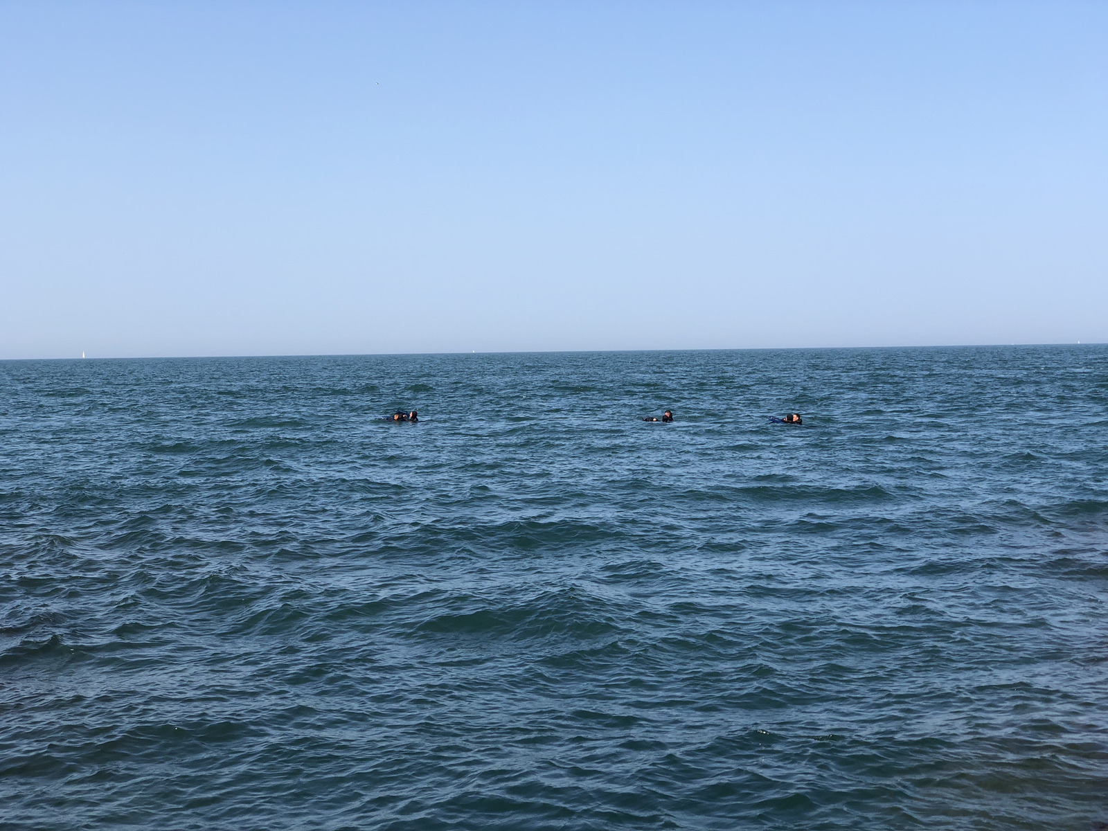 照片 法国(France) 科利乌尔(Collioure) 2018-04 220