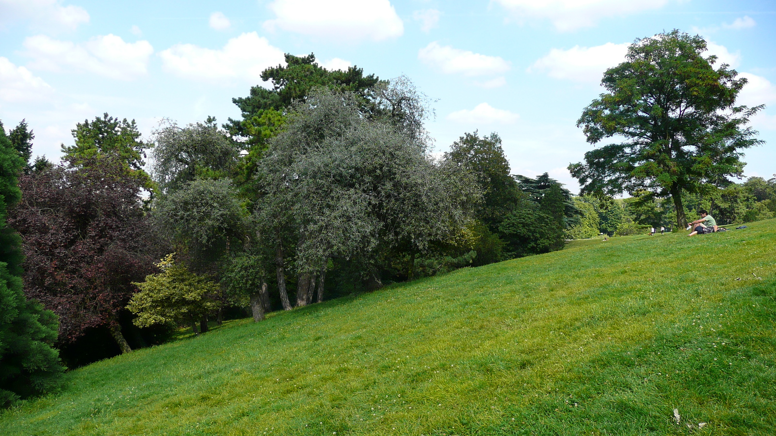 照片 法国(France) 巴黎(Paris) 肖蒙山丘公园(Parc des Buttes Chaumont) 2007-08 221