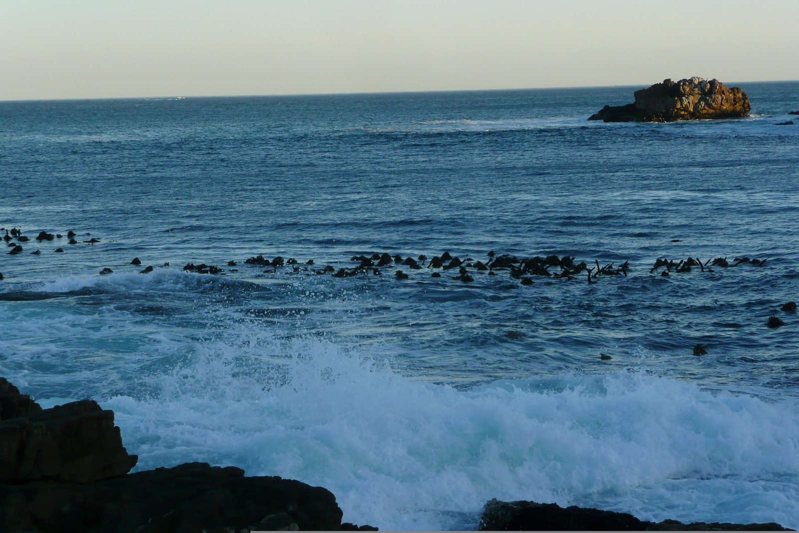 照片 南非(South Africa) 赫曼努斯(Harmanus) 2008-09 272