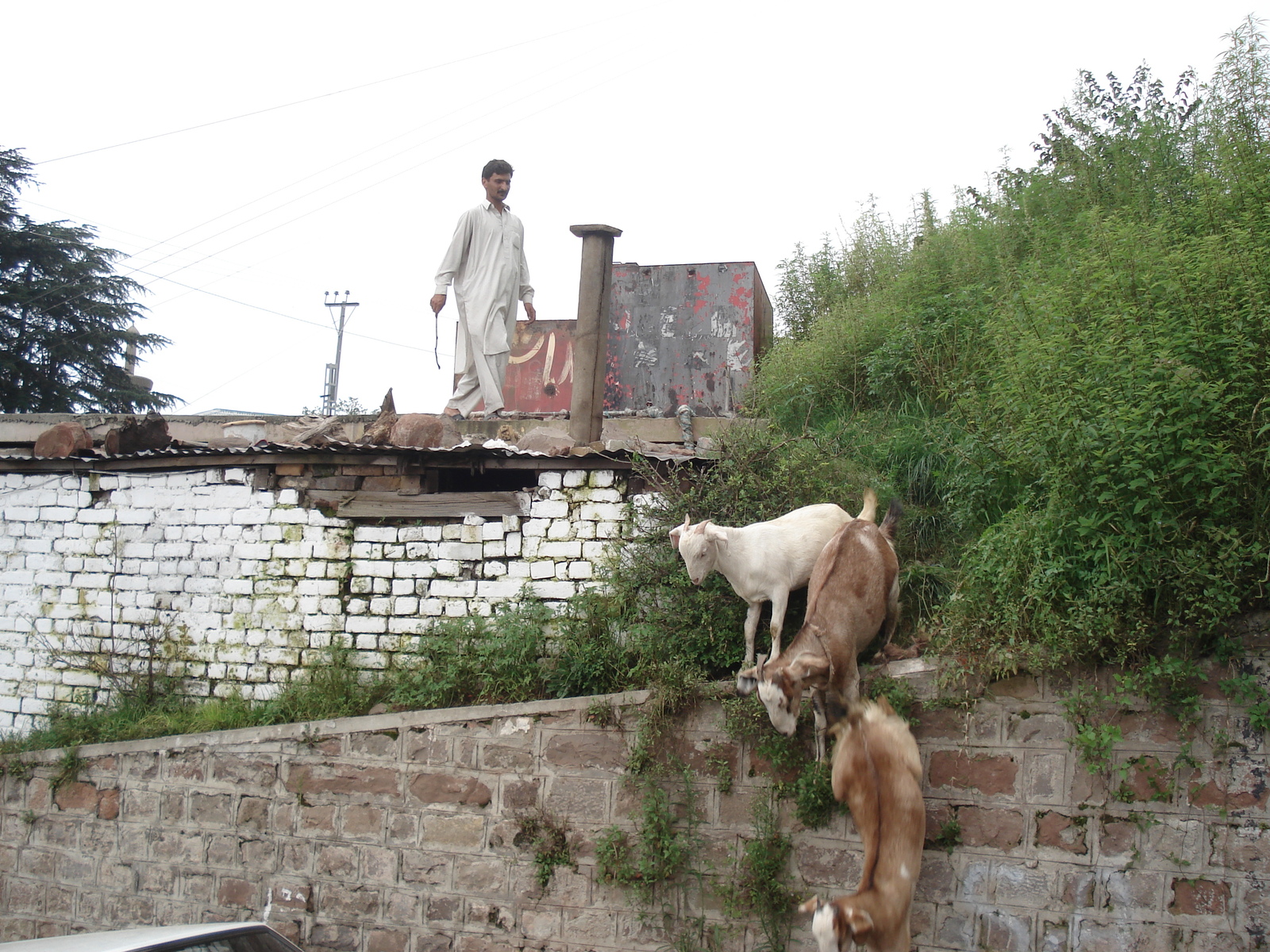 照片 巴基斯坦(Pakistan) 穆里(Murree) 2006-08 164