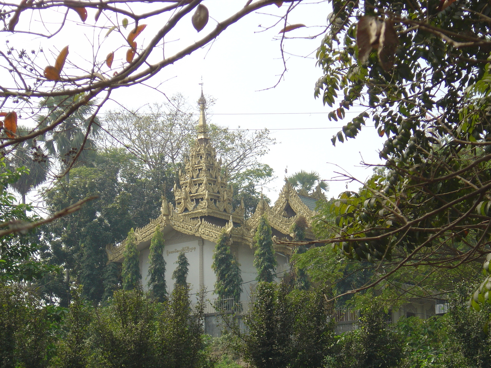 照片 缅甸(Myanmar) 仰光(Yangon) 2005-01 201