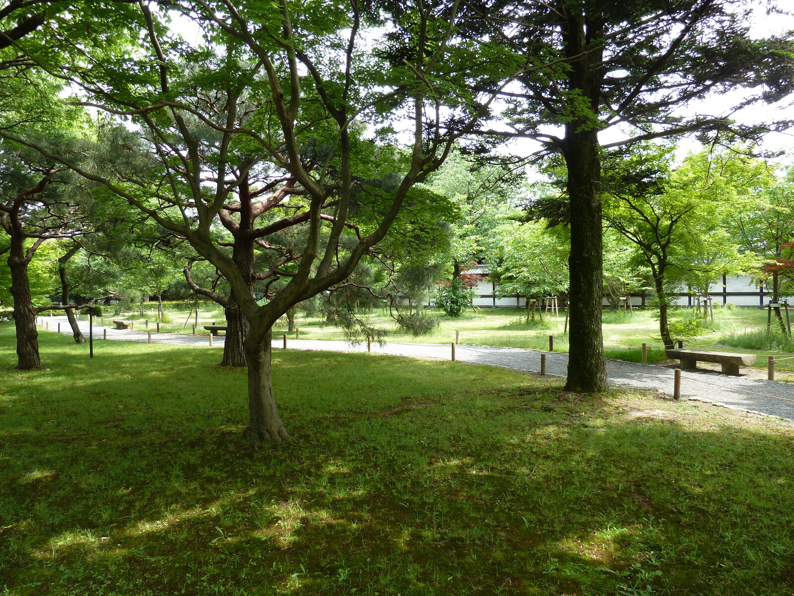 照片 日本(Japan) 京都(Kyoto) 二条城(Nijo Castle) 2010-06 1