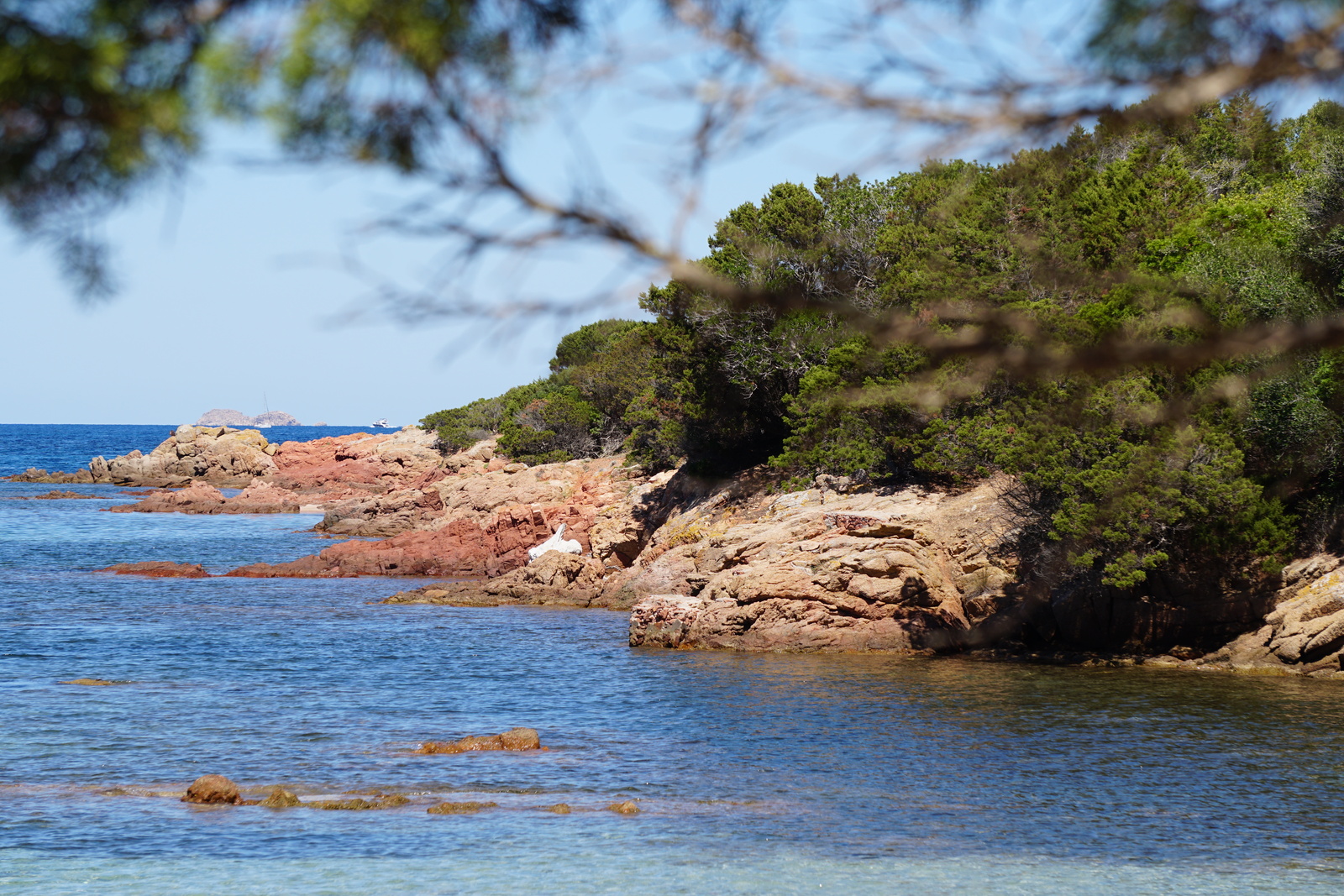 照片 法国(France) 科西嘉岛(Corsica) 龙迪纳拉海滩(Rondinara Beach) 2017-07 28