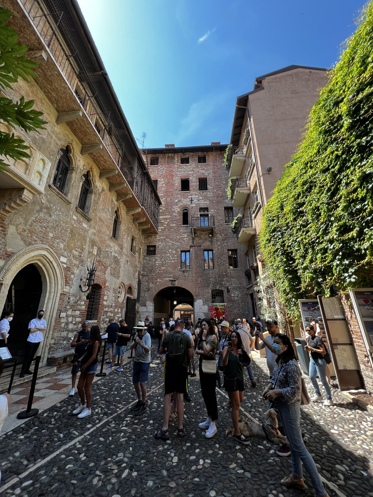 照片 意大利(Italy) 维罗纳(Verona) 2022-05 204