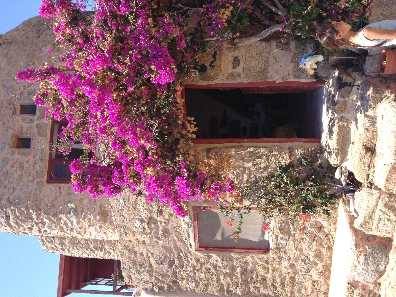 照片 希腊(Greece) 米科诺斯岛(Mykonos) 2014-07 63