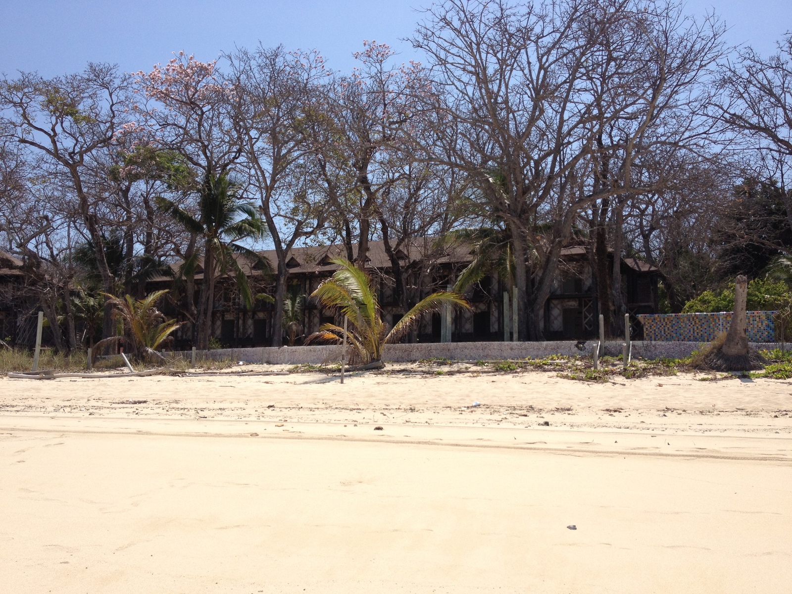 照片 巴拿马(Panama) 孔塔多拉岛(Contadora Island) 2015-03 104