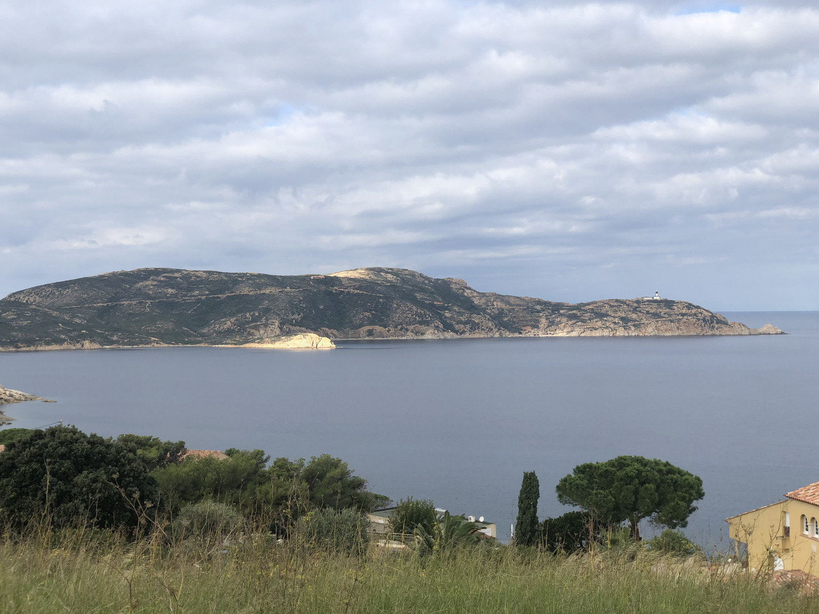 照片 法国(France) 科西嘉岛(Corsica) 卡尔维(Calvi) 2020-10 18