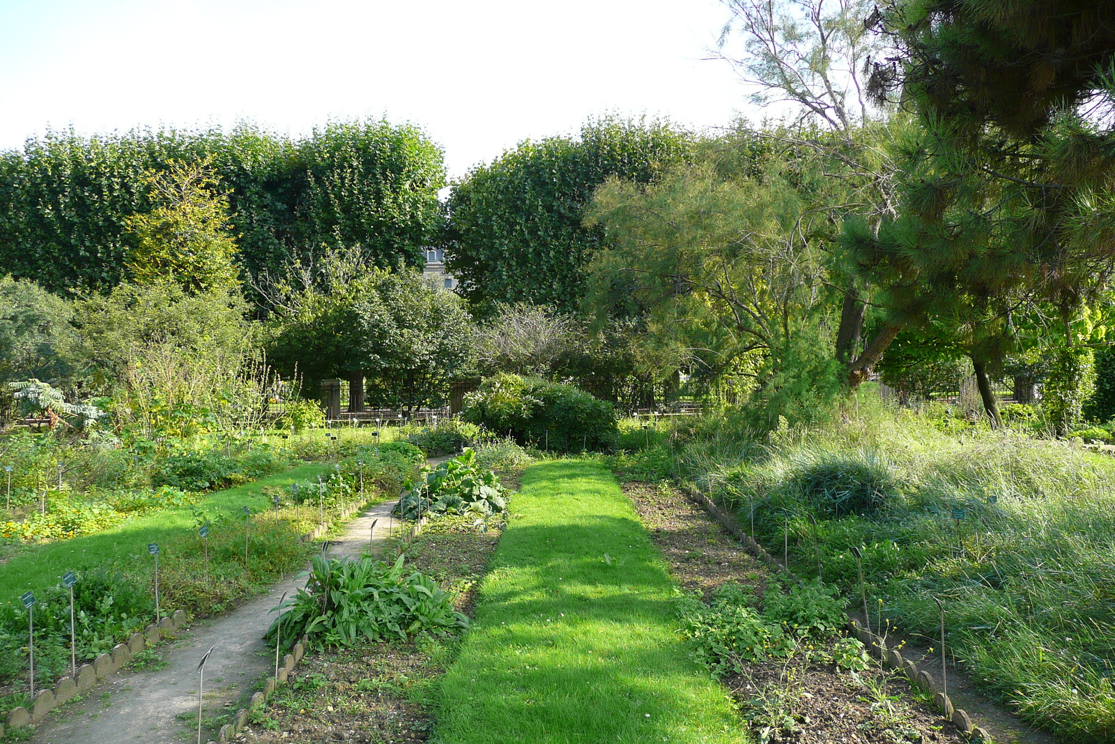 照片 法国(France) 巴黎(Paris) 巴黎植物园(Jardin des Plantes) 2007-08 159