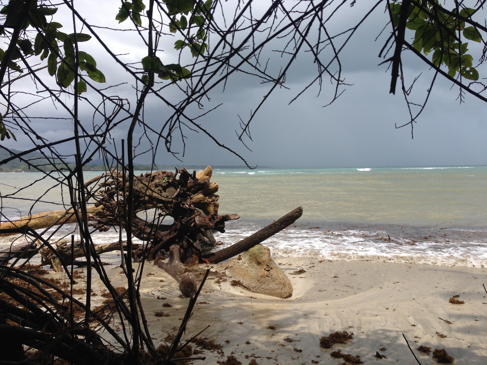照片 哥斯达黎加(Costa Rica) 卡维塔(Cahuita) 2015-03 21