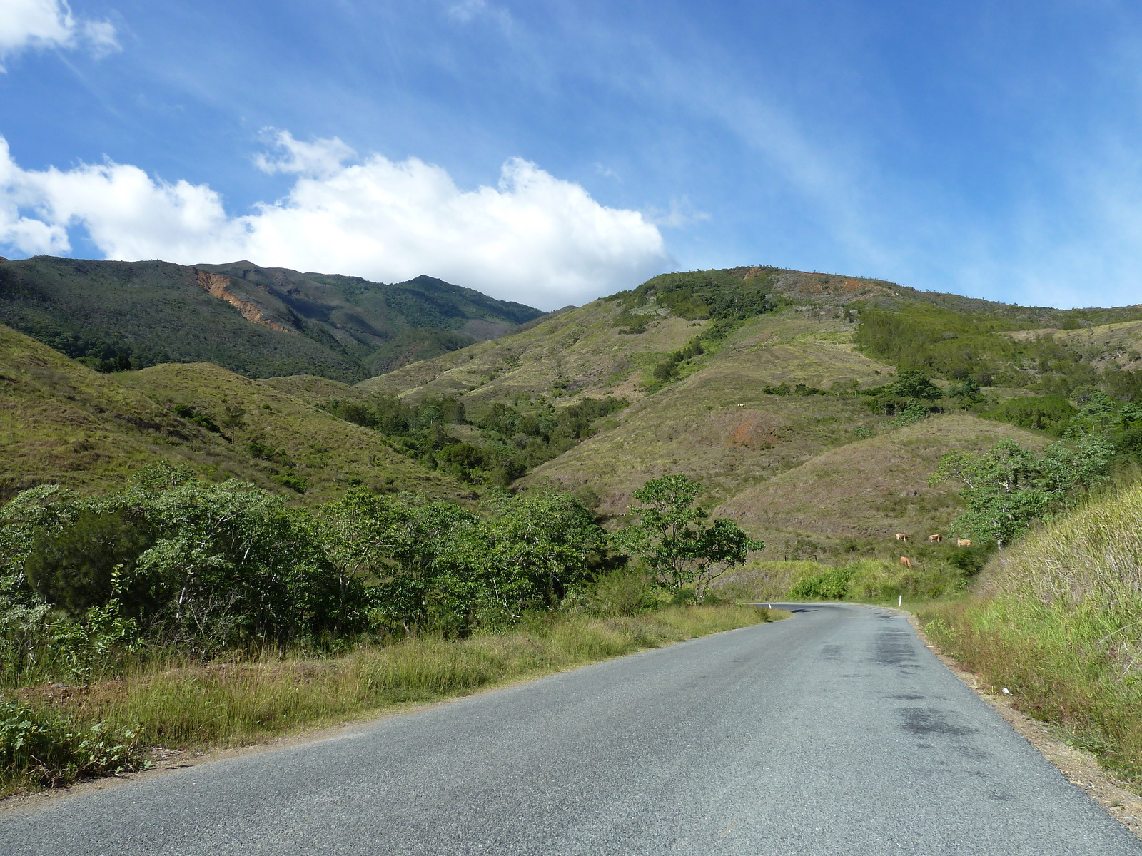照片 新喀里多尼亚(New Caledonia) 通图塔至蒂奥公路(Tontouta to Thio road) 2010-05 120