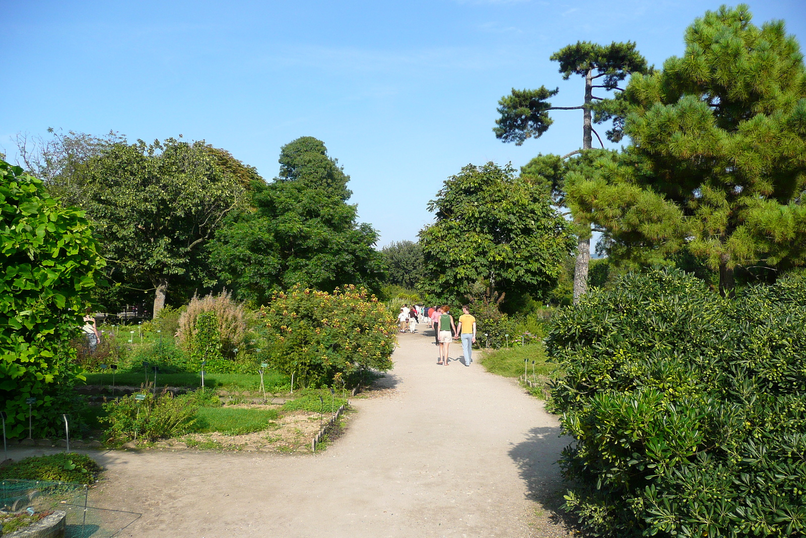 照片 法国(France) 巴黎(Paris) 巴黎植物园(Jardin des Plantes) 2007-08 124