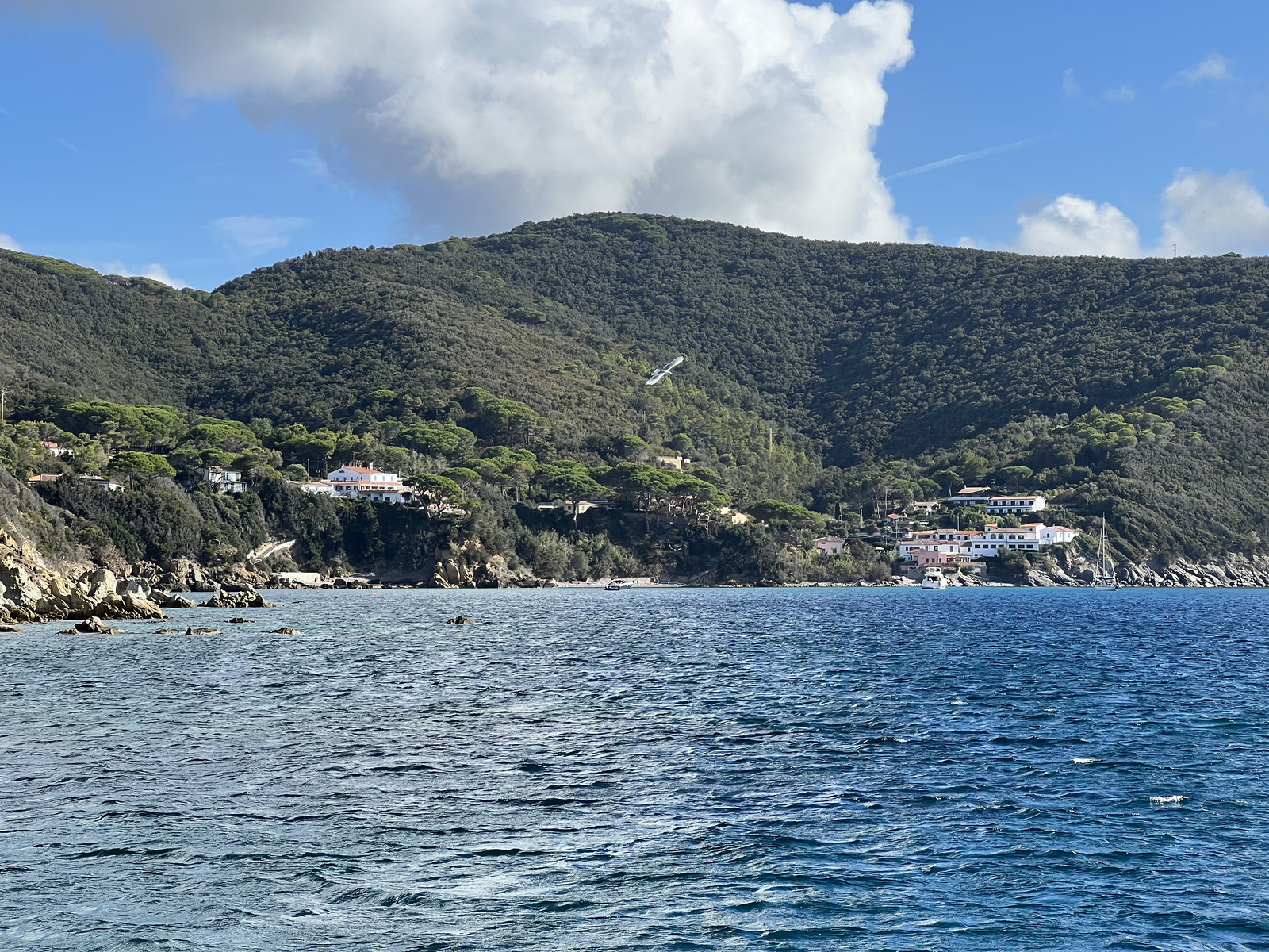照片 意大利(Italy) 厄尔巴岛(Isola d'Elba) 2021-09 14