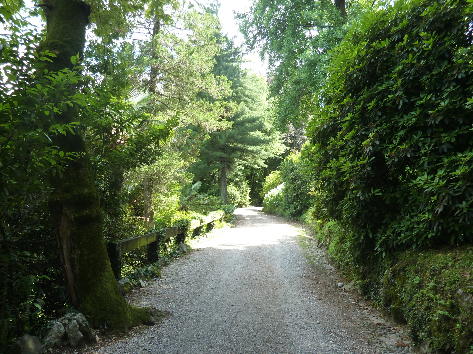 照片 意大利(Italy) 帕拉维奇诺别墅(Villa Pallavicino) 2009-06 19