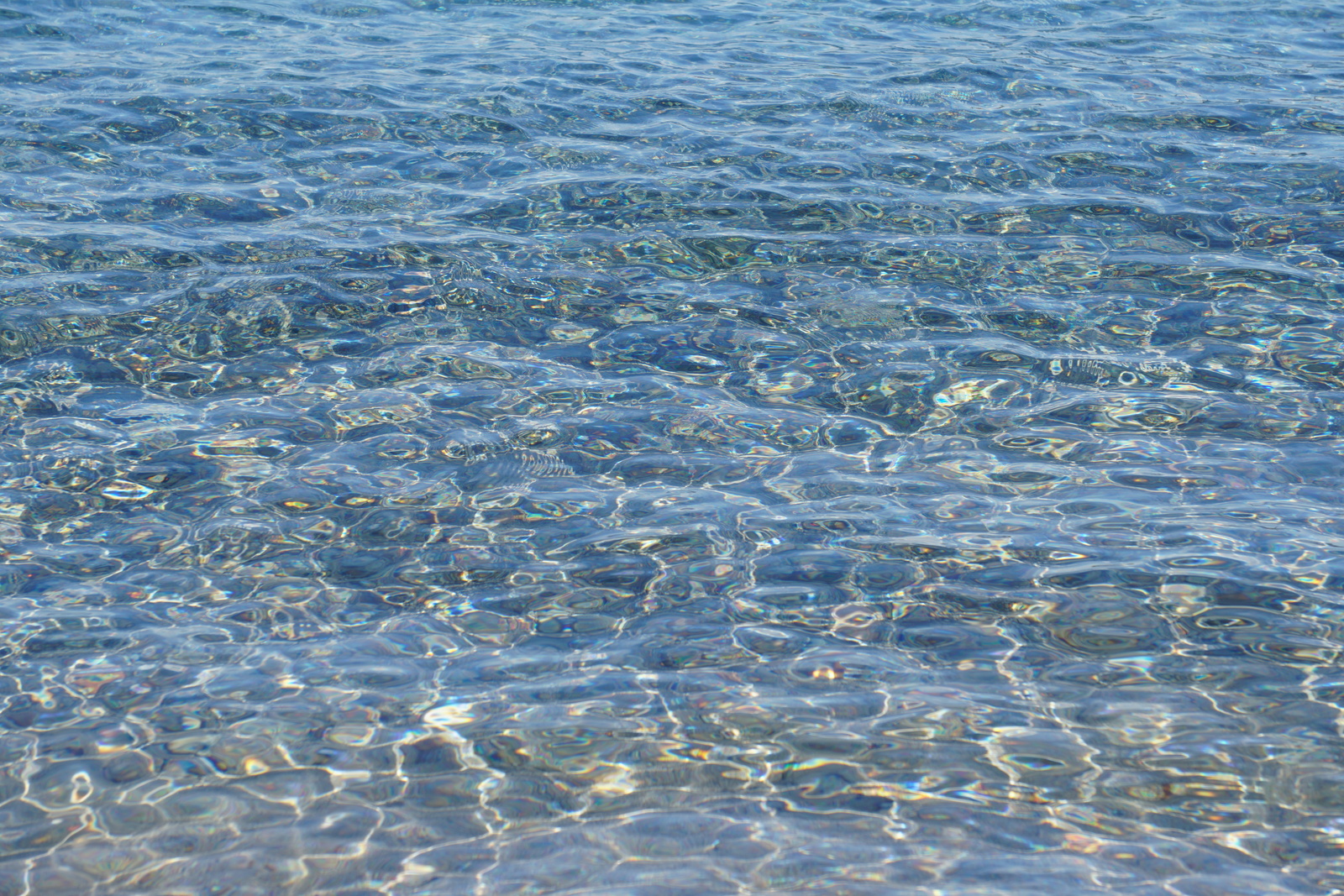 照片 法国(France) 科西嘉岛(Corsica) 龙迪纳拉海滩(Rondinara Beach) 2017-07 19