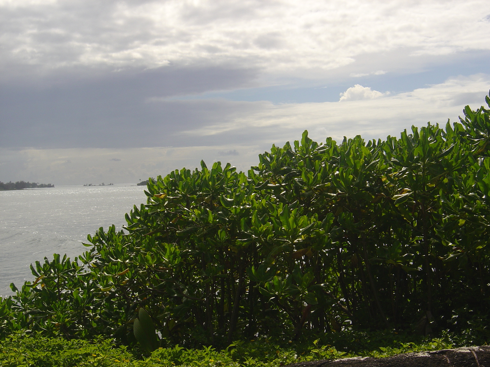 照片 波利尼西亚(Polynesia) 塔希提岛(Tahiti) 2006-04 8