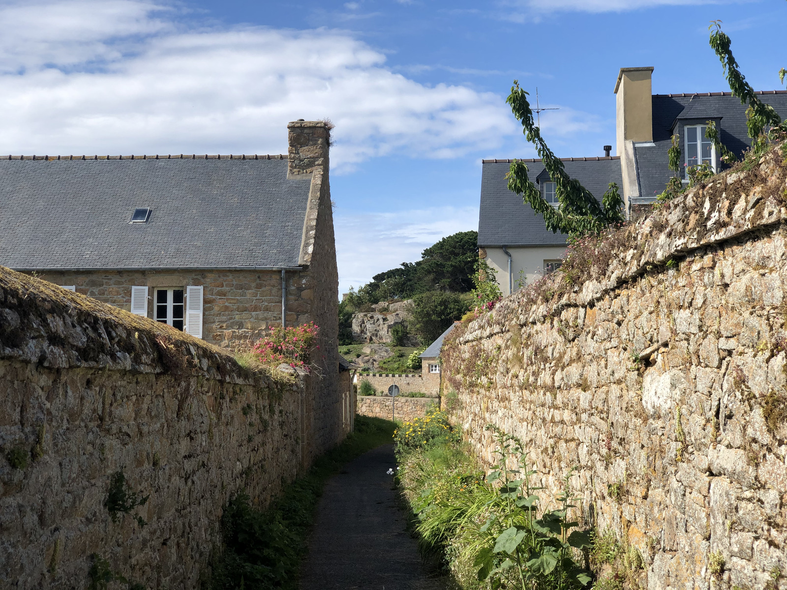 照片 法国(France) 布雷阿岛(Brehat Island) 2020-06 186