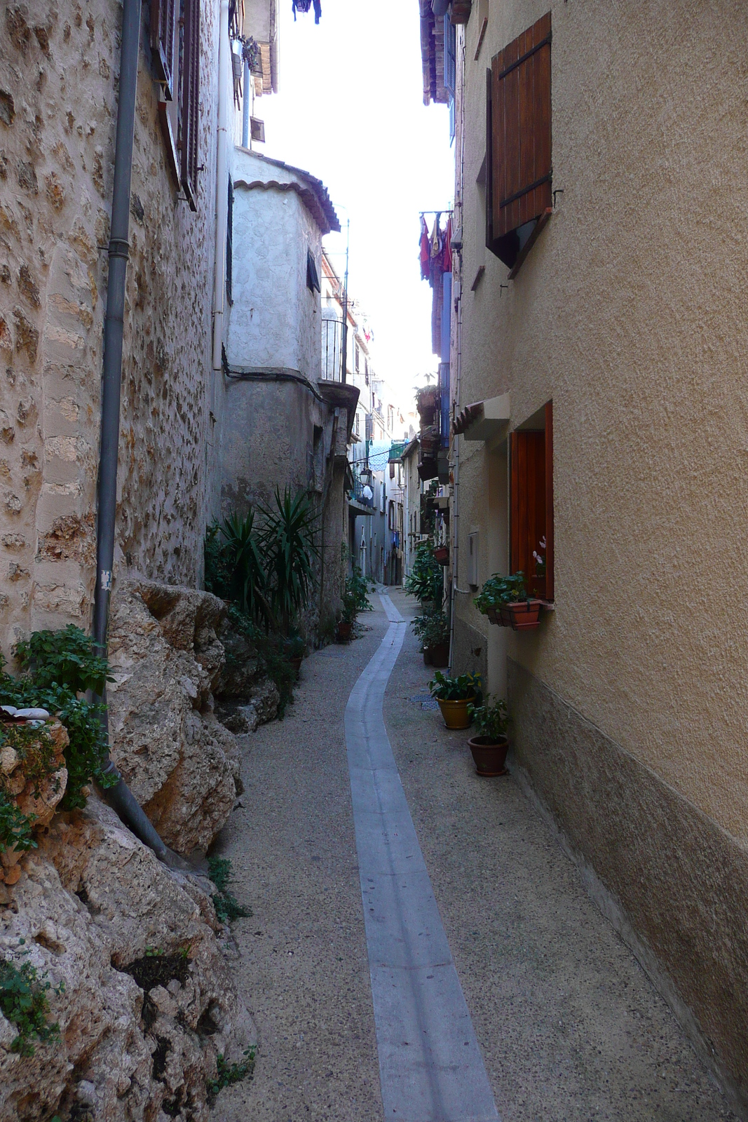 照片 法国(France) 圣让内(Saint Jeannet) 2007-11 24