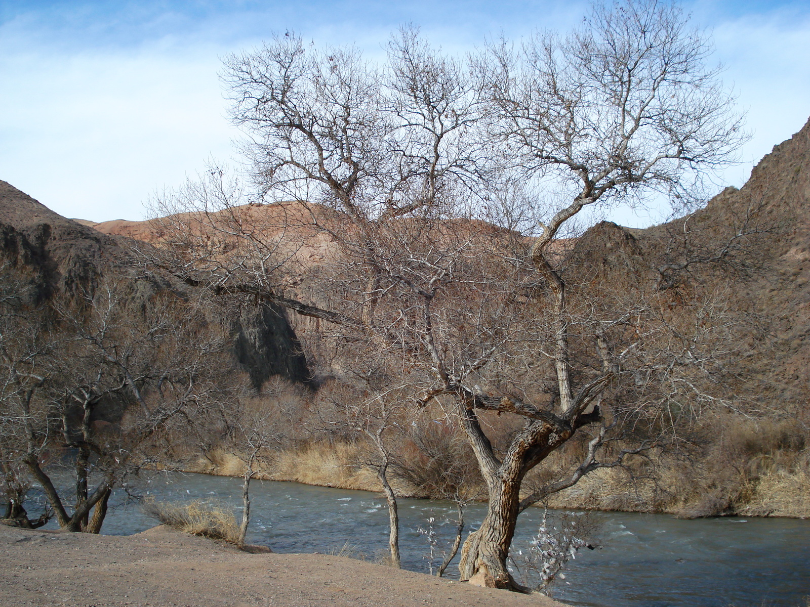 照片 哈萨克斯坦(Kazakhstan) 恰伦峡谷(Charyn Canyon) 2007-03 73
