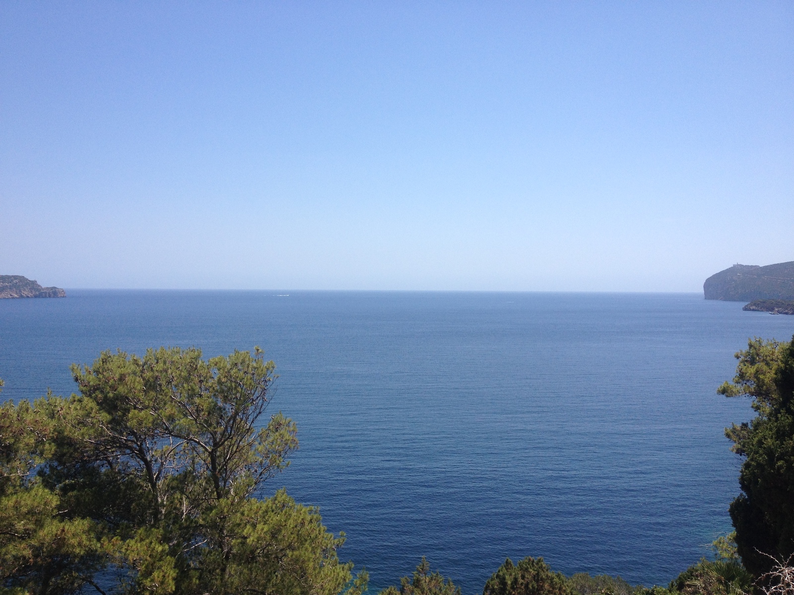 照片 意大利(Italy) 撒丁岛(Sardinia) 孔特港地区自然公园(Porto Conte Regional Natural Park) 2015-06 19