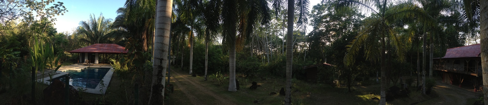 照片 哥斯达黎加(Costa Rica) 乌维塔(Uvita) 2015-03 69