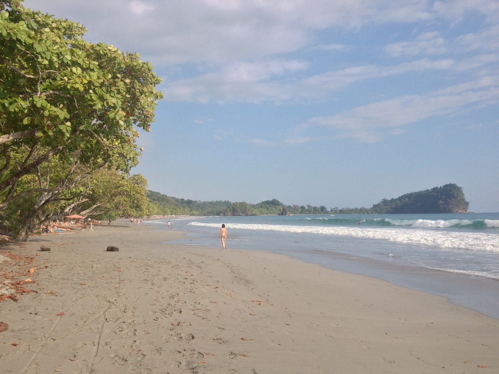 照片 哥斯达黎加(Costa Rica) 曼努埃尔安东尼奥(Manuel Antonio) 2015-03 56