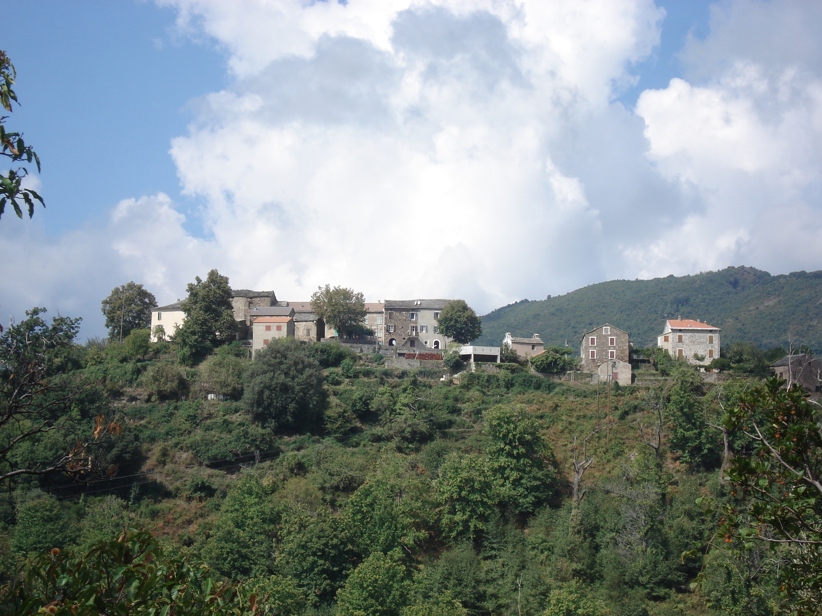 照片 法国(France) 科西嘉岛(Corsica) 阿莱萨尼山谷(Valle d'alesani) 2006-09 64