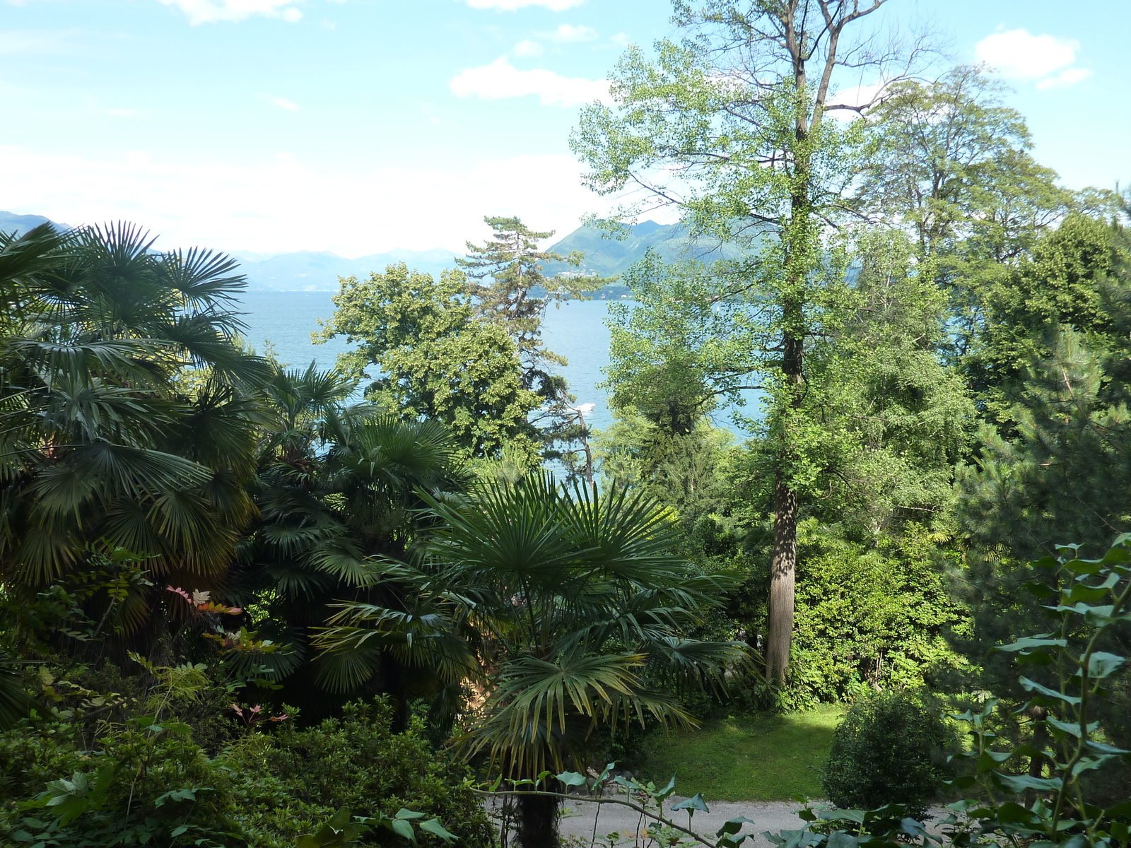 照片 意大利(Italy) 帕拉维奇诺别墅(Villa Pallavicino) 2009-06 28